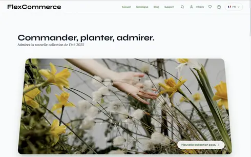 Besoin d'un site e-commerce ?