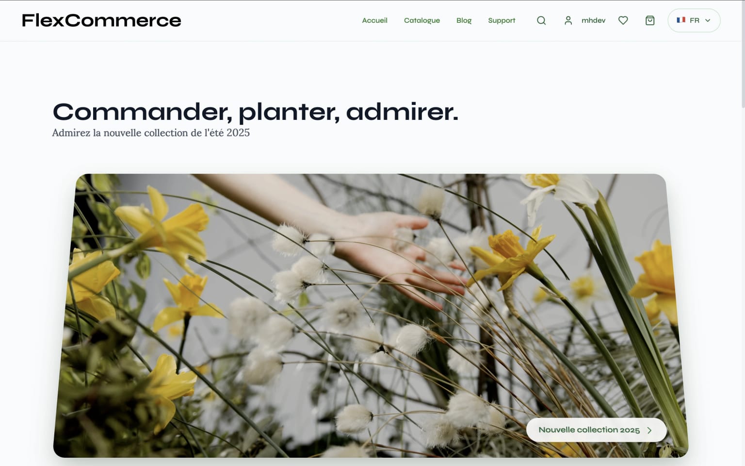 Boutique E-commerce Moderne