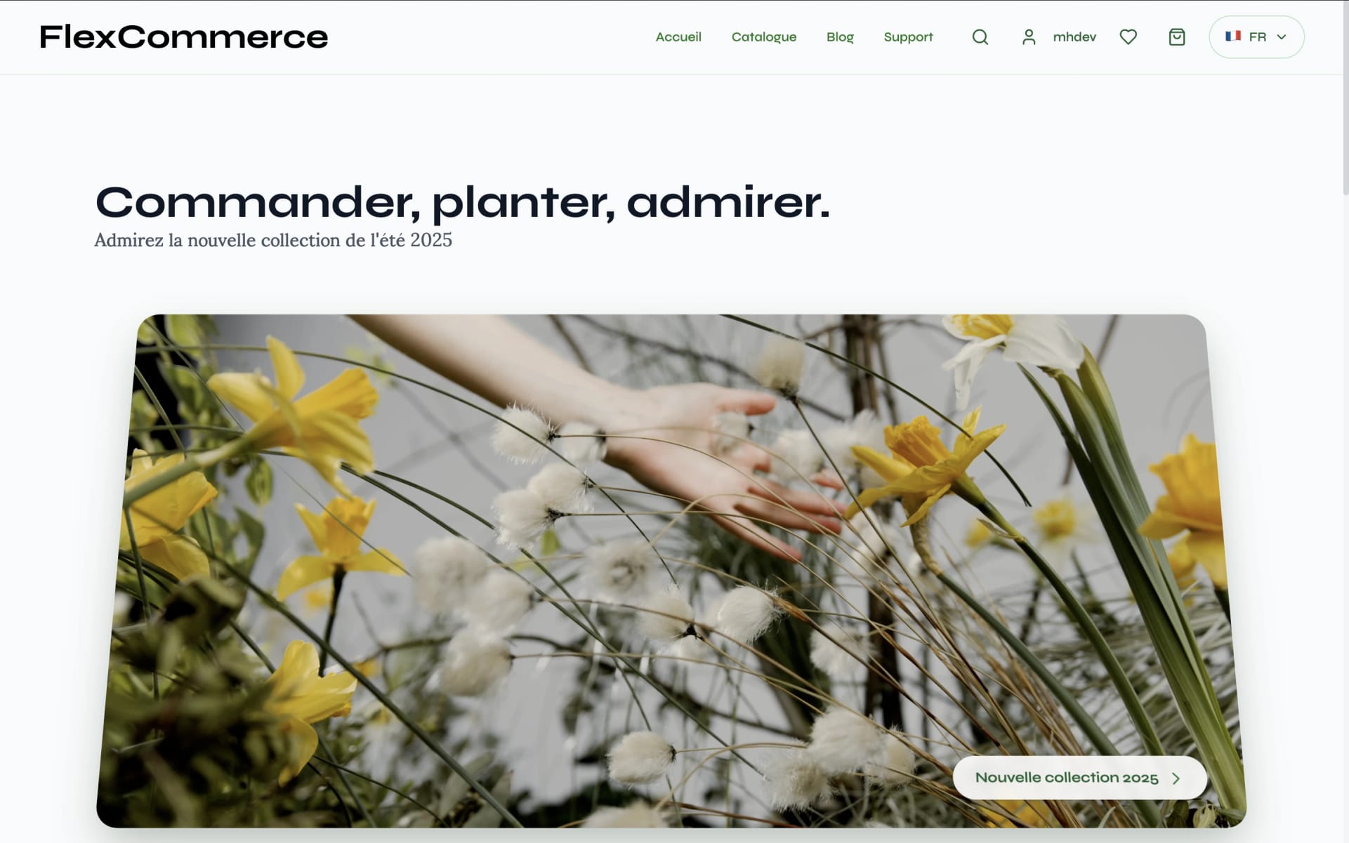 Boutique E-commerce Moderne