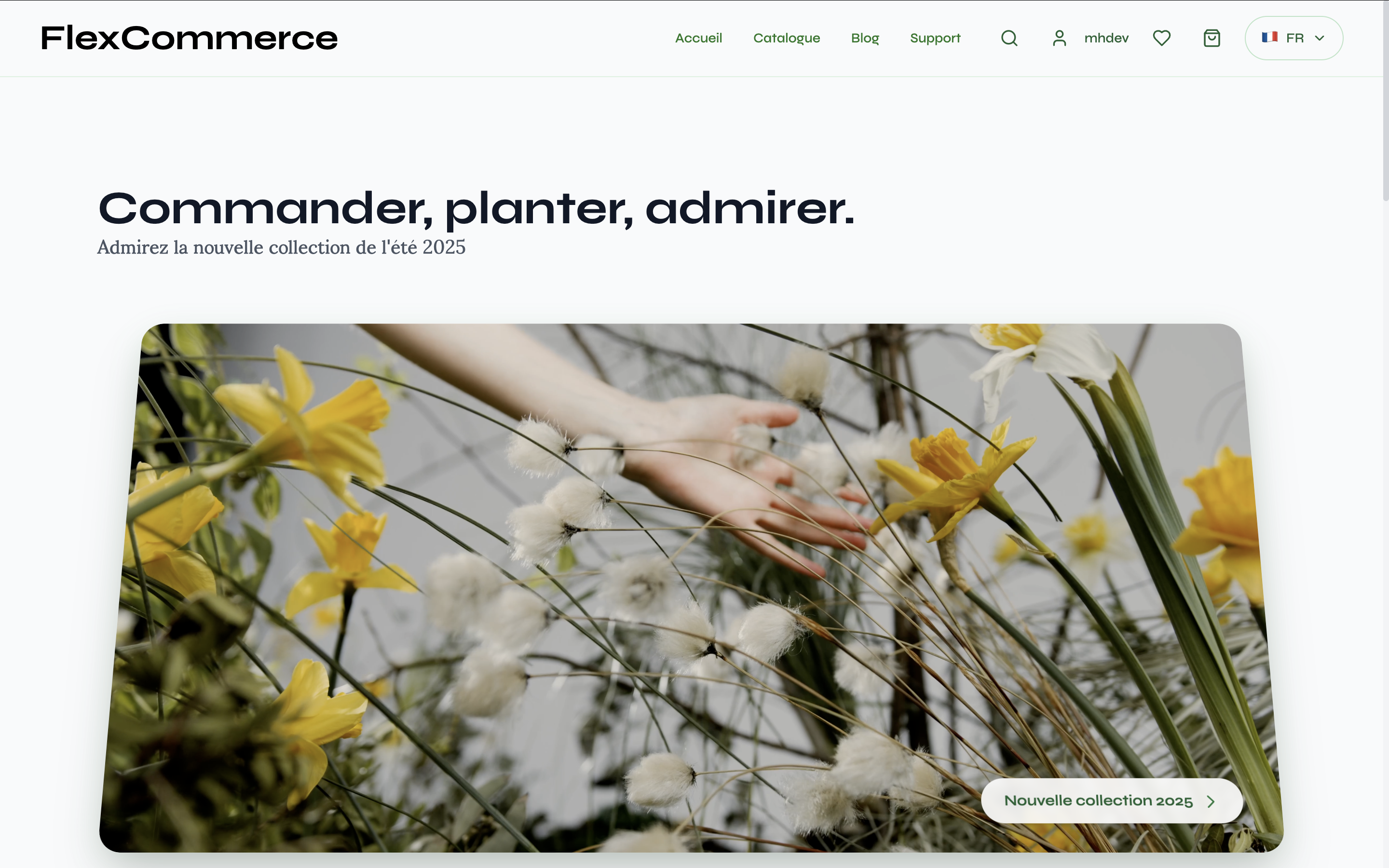 Boutique E-commerce Moderne